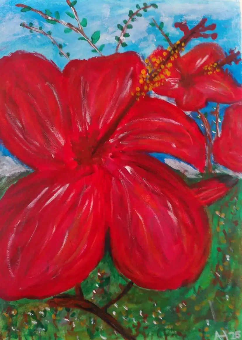 Hibiscus
